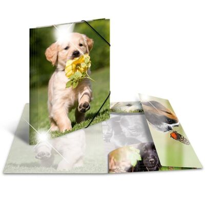 Sammelmappe Glossy Tiere A3, PP,  Hunde